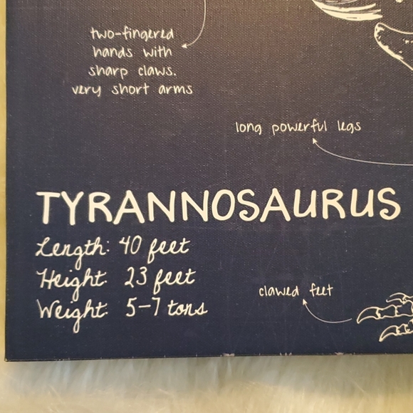 Like New! Canvas Dino Wall Art. - Picture 5 of 14